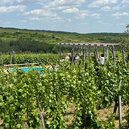 Csernus Doki Bor-grillterasza Es Bungalloi Gæstehus Eger