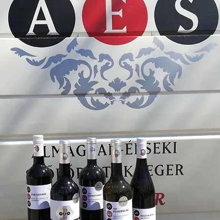 Pensión Almagyar érseki Szőlőbirtok *
