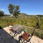 Csernus Doki Bor-Grillterasza Es Bungalloi Guest house