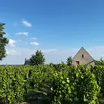 Csernus Doki Bor-Grillterasza Es Bungalloi 4*