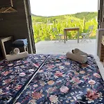 Csernus Doki Bor-Grillterasza Es Bungalloi Guest house