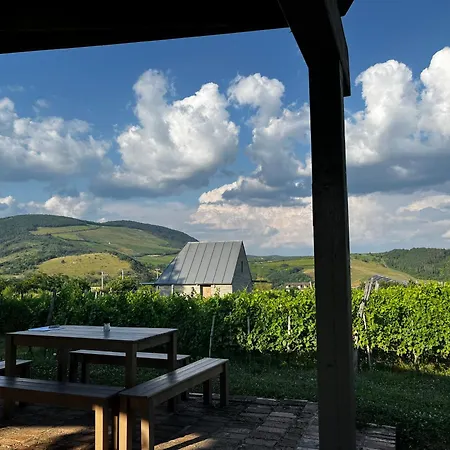 Csernus Doki Bor-Grillterasza Es Bungalloi
