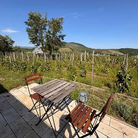 Csernus Doki Bor-Grillterasza Es Bungalloi Gasthof