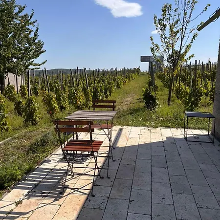 Gasthof Csernus Doki Bor-Grillterasza Es Bungalloi