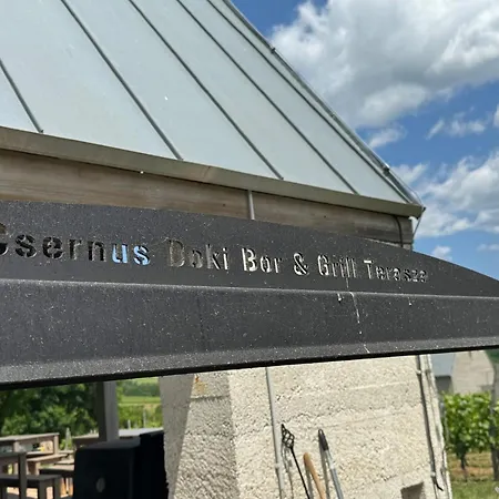 Csernus Doki Bor-grillterasza Es Bungalloi Pensjonat Eger