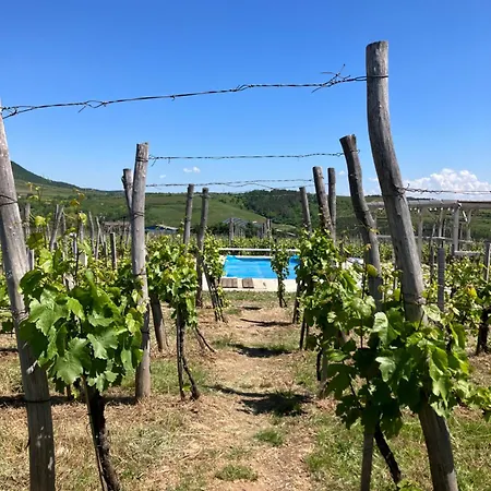 Csernus Doki Bor-grillterasza Es Bungalloi Pensjonat Eger