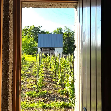 Csernus Doki Bor-Grillterasza Es Bungalloi Gasthof
