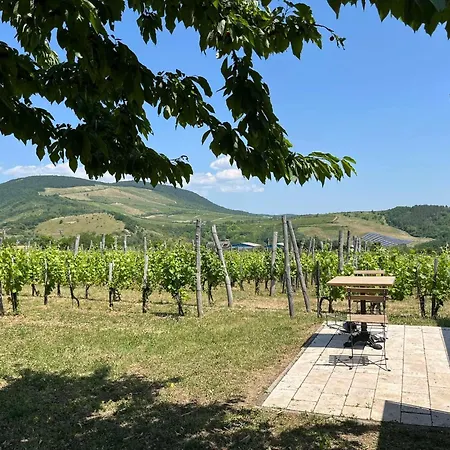 Csernus Doki Bor-Grillterasza Es Bungalloi Erlau