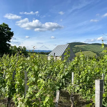Csernus Doki Bor-Grillterasza Es Bungalloi Gasthof
