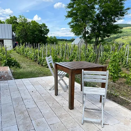 Csernus Doki Bor-Grillterasza Es Bungalloi 4*