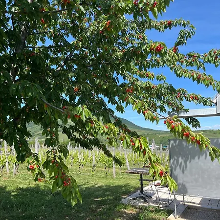 Csernus Doki Bor-Grillterasza Es Bungalloi Gasthof Erlau