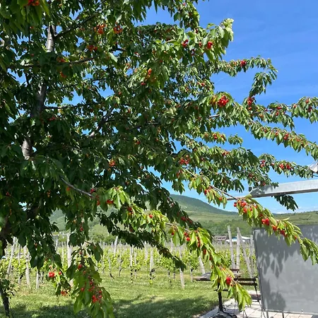 Gasthof Csernus Doki Bor-Grillterasza Es Bungalloi 4*