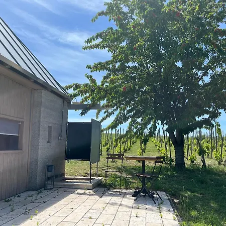 Csernus Doki Bor-Grillterasza Es Bungalloi Guest house Eger