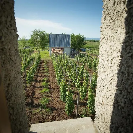 Csernus Doki Bor-Grillterasza Es Bungalloi Erlau