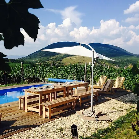 Guest house Csernus Doki Bor-Grillterasza Es Bungalloi Eger