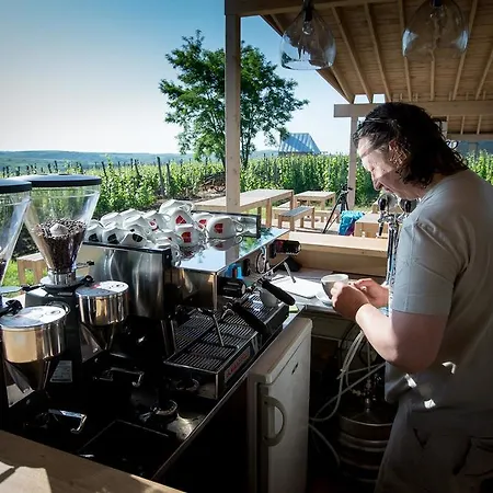 Csernus Doki Bor-Grillterasza Es Bungalloi Gasthof 4*