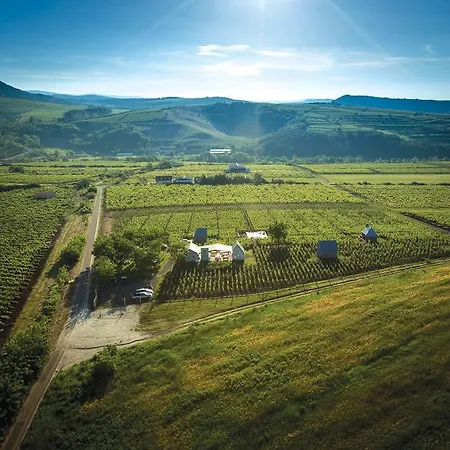 Csernus Doki Bor-Grillterasza Es Bungalloi Gasthof 4*