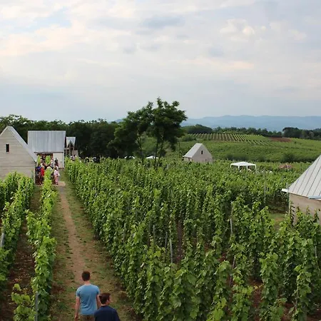 Csernus Doki Bor-grillterasza Es Bungalloi Pensjonat 4*