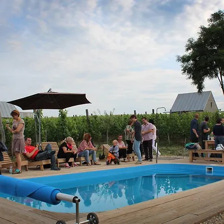 Csernus Doki Bor-Grillterasza Es Bungalloi Guest house Eger
