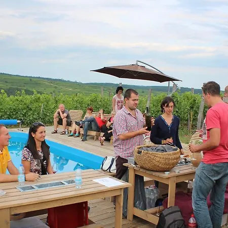 Csernus Doki Bor-Grillterasza Es Bungalloi Eger