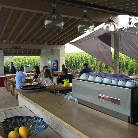 Csernus Doki Bor-Grillterasza Es Bungalloi Guest house