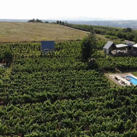 Csernus Doki Bor-Grillterasza Es Bungalloi Guest house Eger