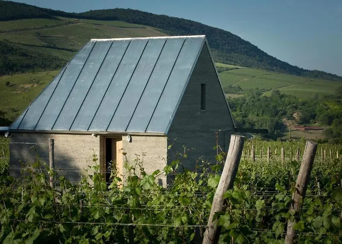 Almagyar érseki Szőlőbirtok