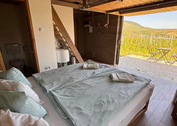 Almagyar érseki Szőlőbirtok 4*