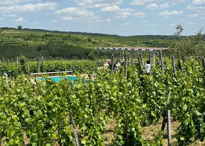 Almagyar érseki Szőlőbirtok Vendégház Eger