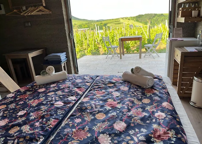 Csernus Doki Bor-Grillterasza Es Bungalloi Guest house