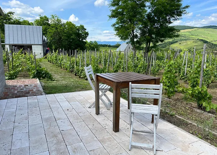 Csernus Doki Bor-Grillterasza Es Bungalloi 4*