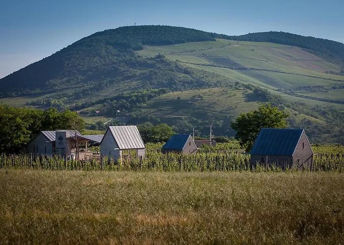 Almagyar érseki Szőlőbirtok Eger